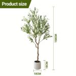 Luxury Olive Tree Plant – Premium Indoor Decor - Image 3