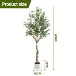 Luxury Olive Tree Plant – Premium Indoor Decor - Image 2
