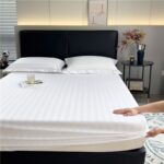 Egyptian Cotton Fitted Sheet Set - Image 2