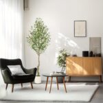 Mediterranean Olive Tree - Image 6
