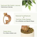 Nordic Artificial Ficus Tree - Image 7