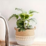 Tassel Woven Storage Basket - Image 3