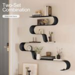 Architectural Ribbon Wall Shelves
