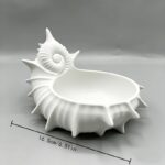 Coastal Shell Tray