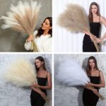 Natural Pampas Grass Stems - Image 4