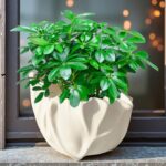 Organic Sculpted Ceramic Vase - Image 4