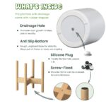 White Ceramic Planter with Wooden Stand - Image 2