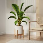 White Ceramic Planter with Wooden Stand - Image 11