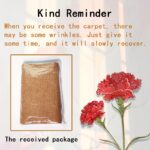 Natural Beige Outdoor Patio Rug - Image 3