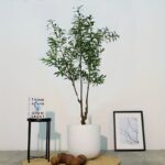 180cm Artificial Olive Tree in White Pot - Image 9