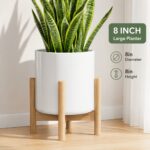 White Ceramic Planter with Wooden Stand
