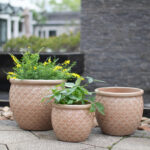 Set of 3 Beige Ceramic Garden Planters - Image 6