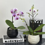 White Ribbed Ceramic Plant Pot - Image 4