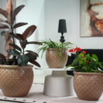 Set of 3 Beige Ceramic Garden Planters - Image 3