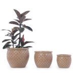 Set of 3 Beige Ceramic Garden Planters - Image 4