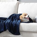 Premium Packable Travel Blanket with Storage Pouch – Charcoal Grey - Image 6