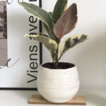 White Ribbed Ceramic Plant Pot